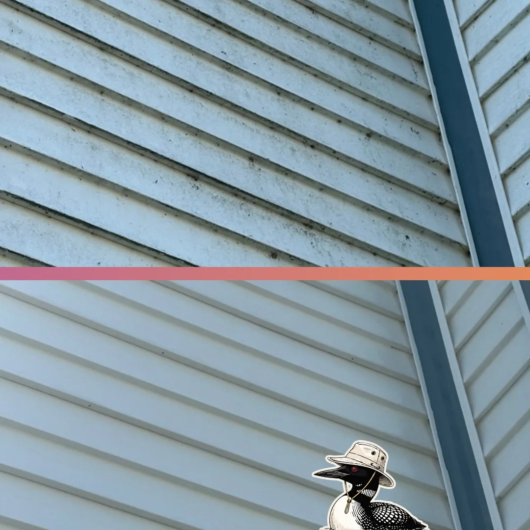 Before and after — Vinyl siding brought back to a clean, even finish from top to bottom.