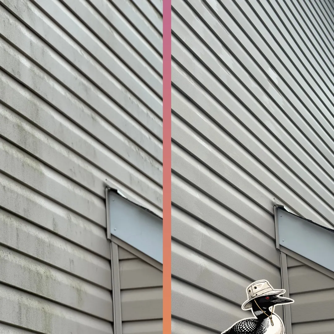 Before and after — Heavy green algae dissolved off the siding with a low-pressure soft wash.