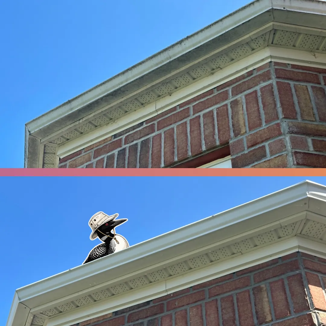 Before and after — Fascia and soffit detail on a brick home, cleaned back to bright white.