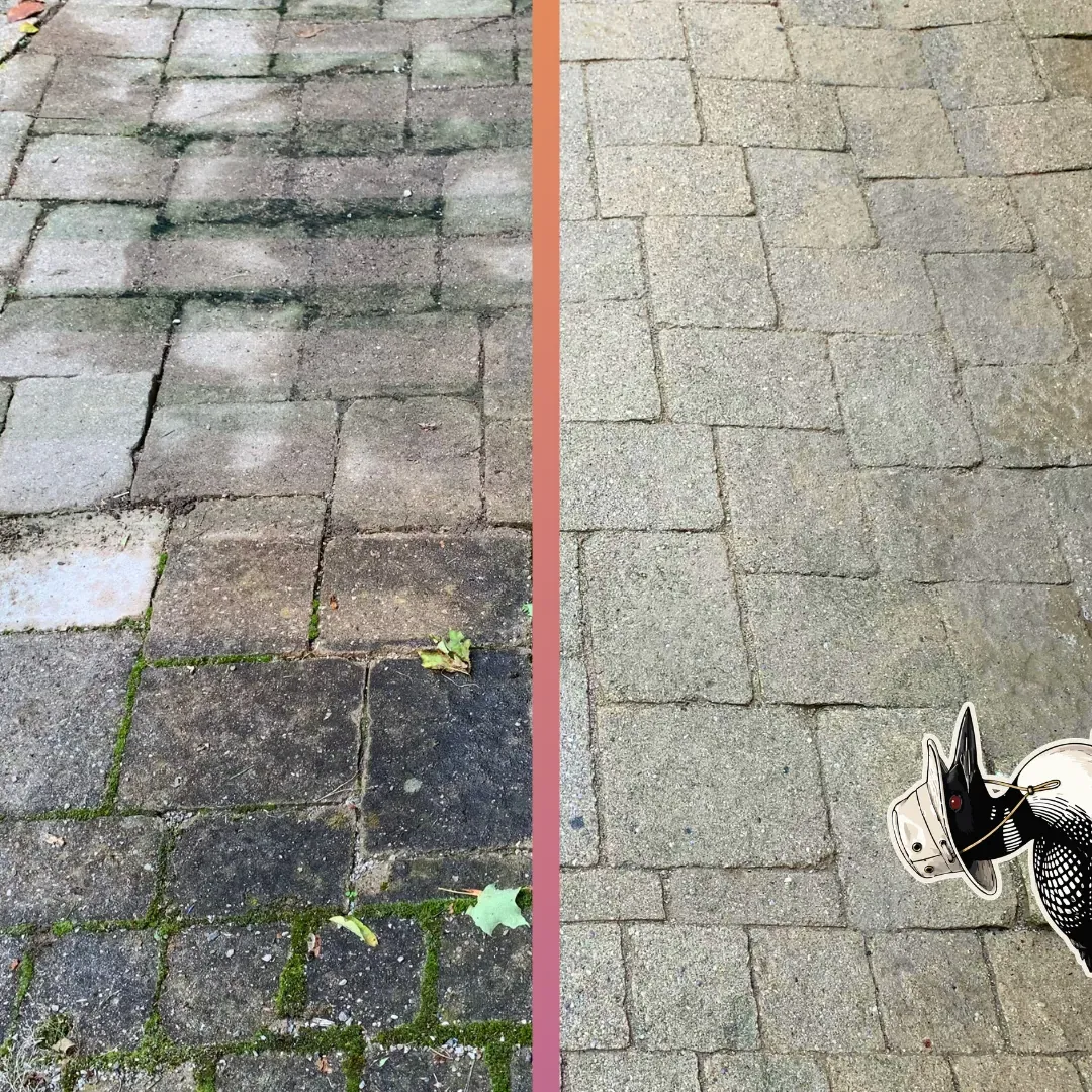 Before and after — Patio pavers — embedded moss and black growth surface-cleaned away.