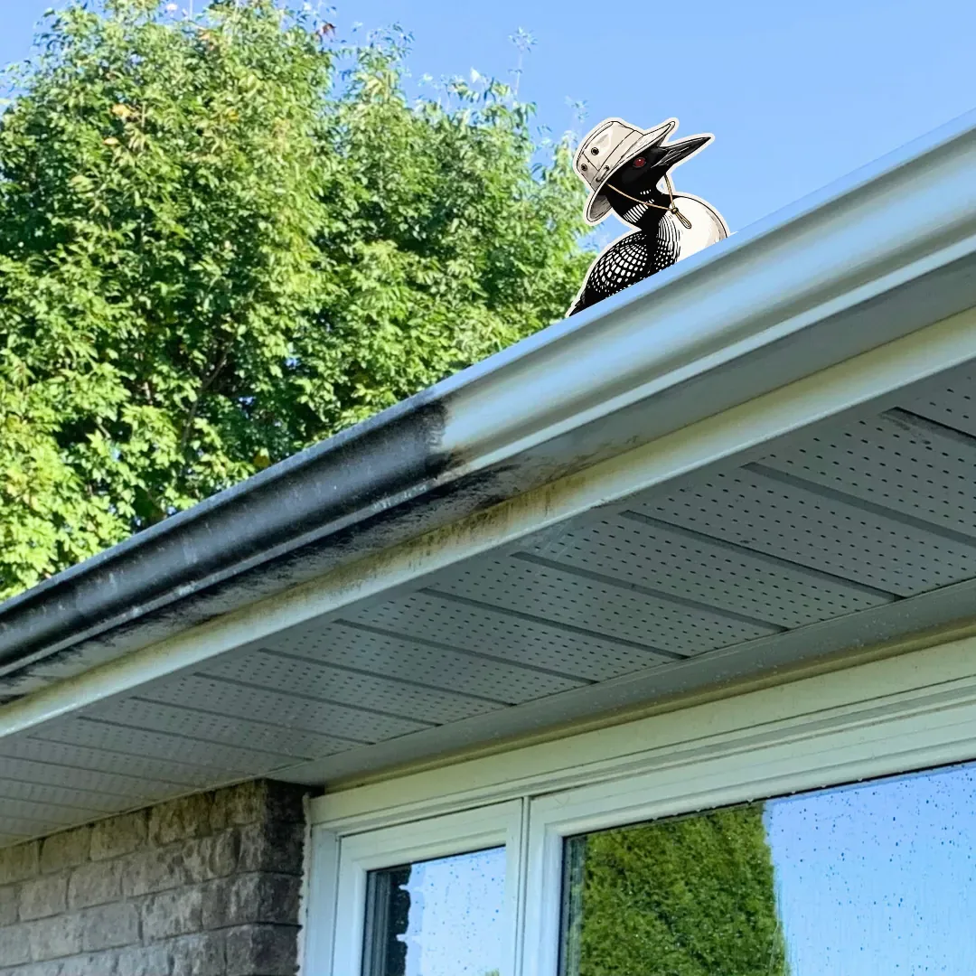 Before and after — Gutter face and soffit brought back to a clean, even white as part of a full house wash — the dark oxidation striping washed off.