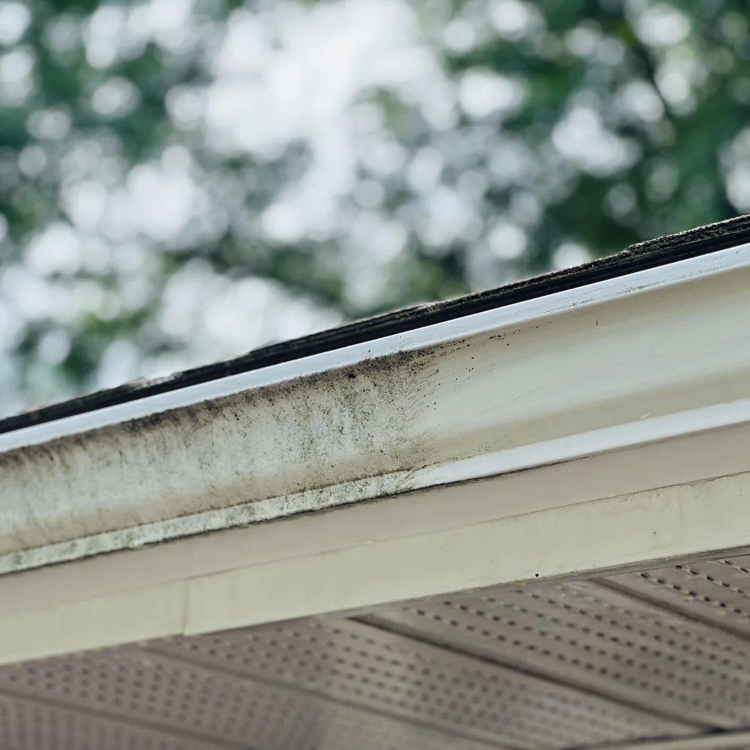 Before and after — Mid-pass on a gutter face and soffit: the black oxidation streaking on the left, the same run back to white on the right. Eaves brightening is part of a full house wash.