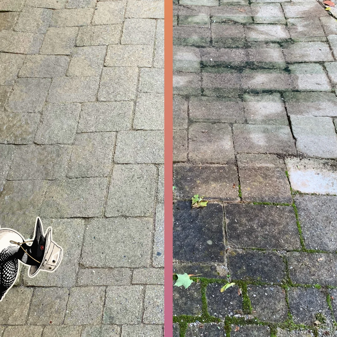 Before and after — Interlock with moss and dirt packed into every joint, surface-cleaned back to even stone — the right-hand half is untouched.