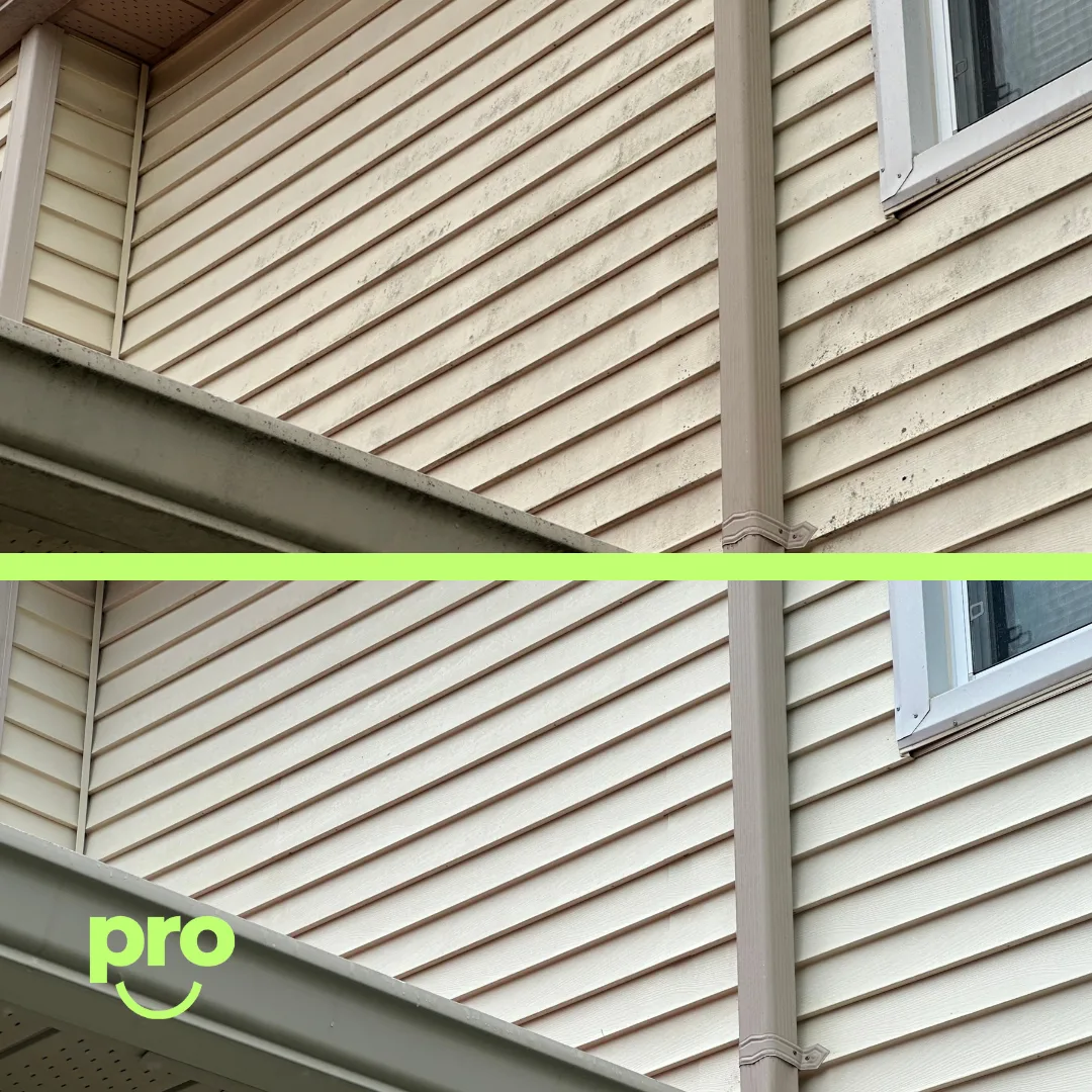 Before and after — Years of shade-side grime dissolved, not blasted.