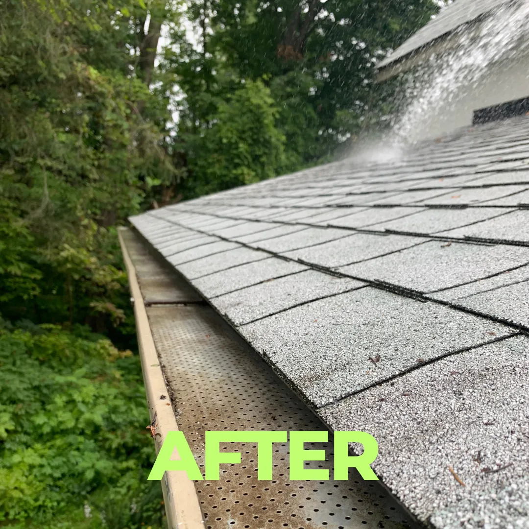 After — Debris out, downspouts flushed, flow checked.