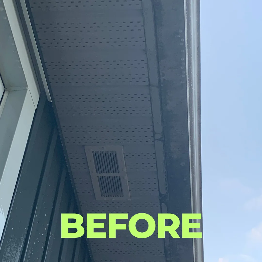 Before — Soffits cleaned without a ladder ever touching the siding.