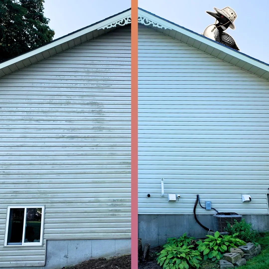 The gable end of a Simcoe County home split down the middle — grey, algae-streaked siding on one side, the same wall soft-washed back to clean pale blue on the other