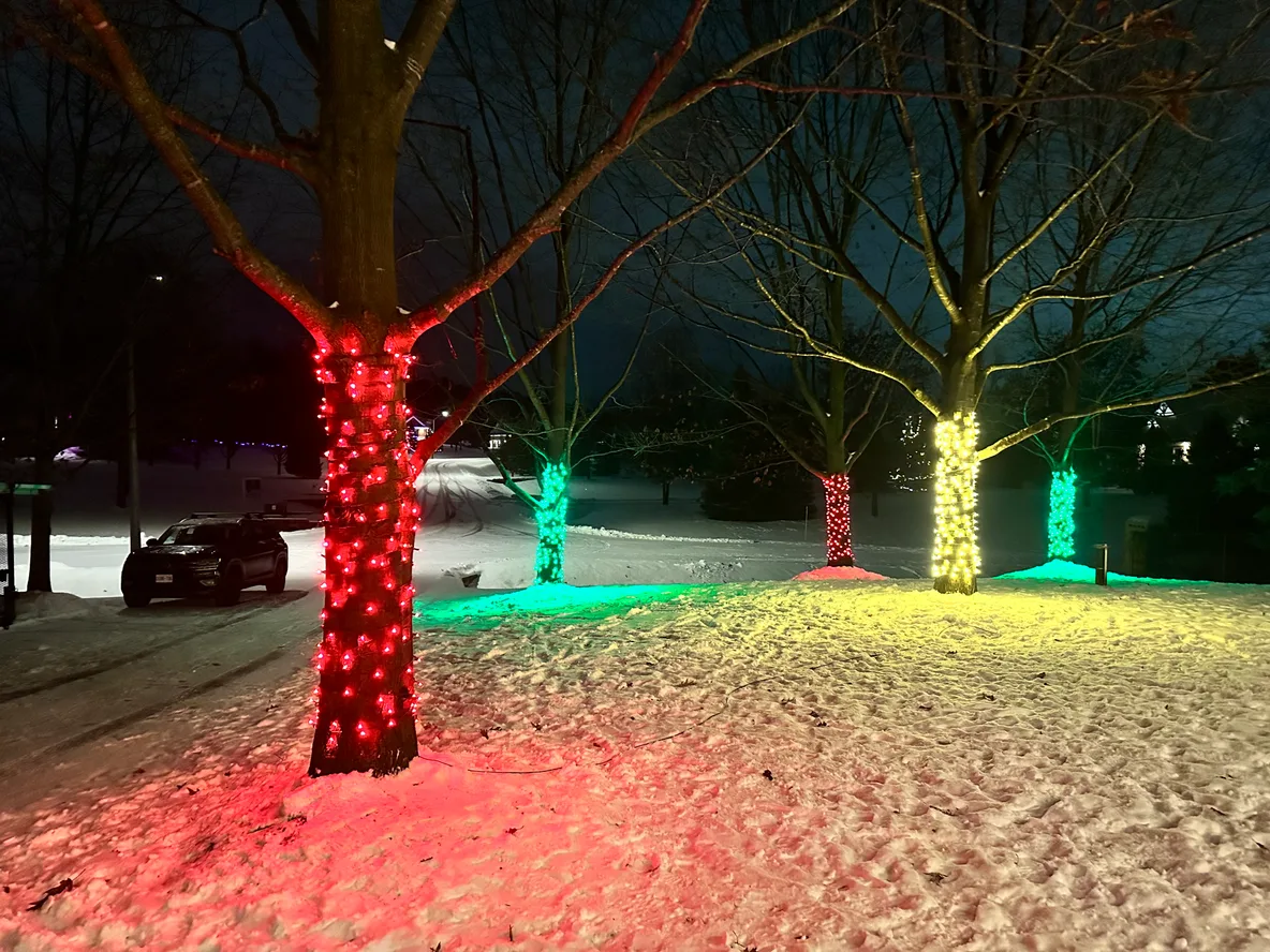Tree trunks wrapped in red, green, and warm white Christmas lights glowing over the snow at night in Alliston — a Nord install