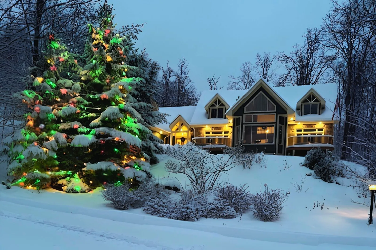 Professional Christmas light installation — Horseshoe Valley · a full evergreen beside the house