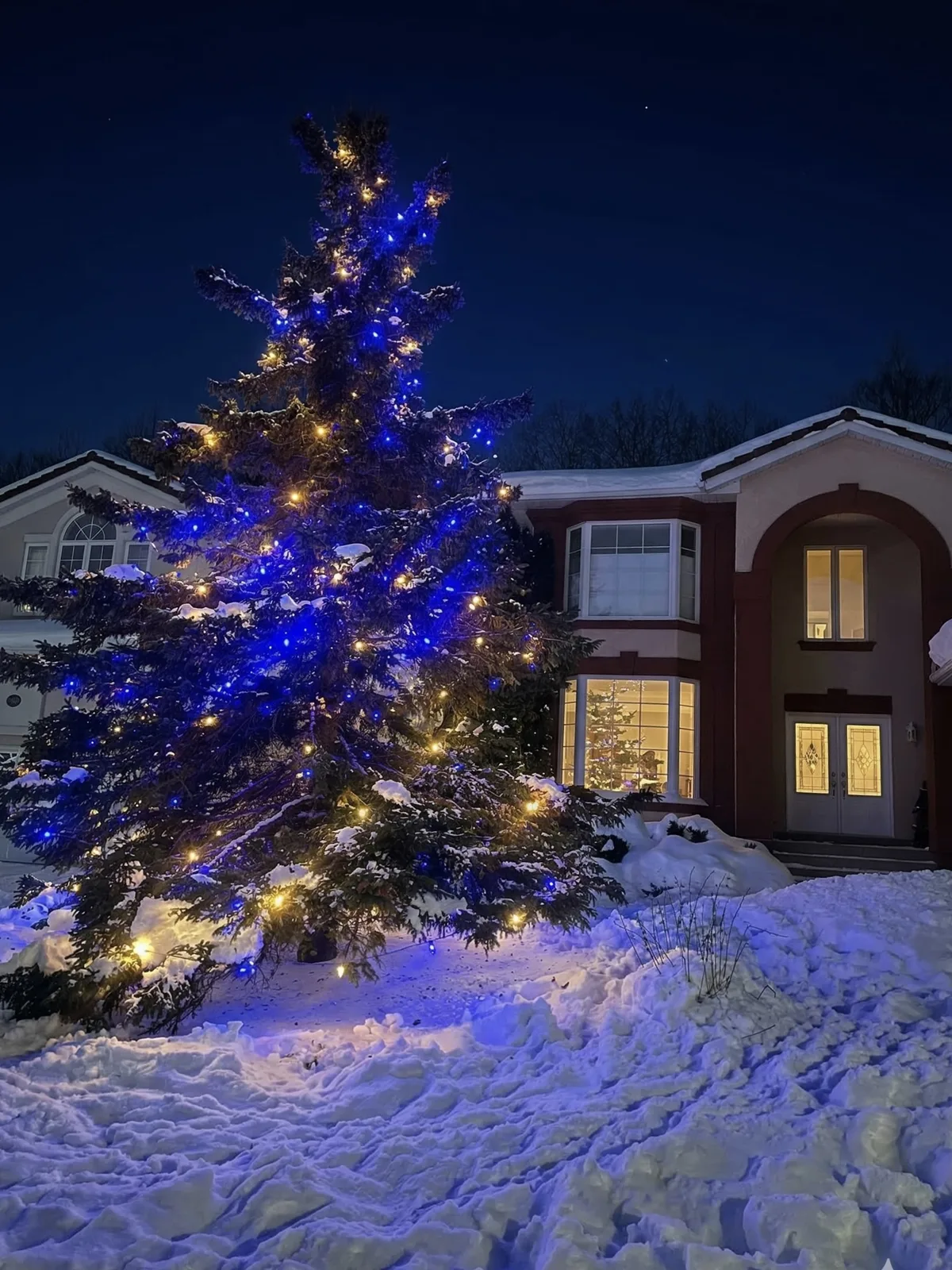 Professional Christmas light installation — Midland · a 30-foot blue & pure white tree